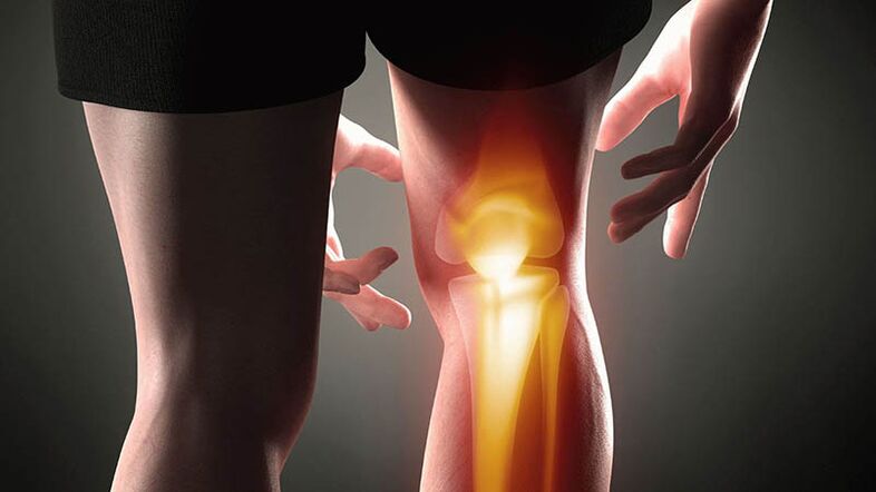 Knee joints